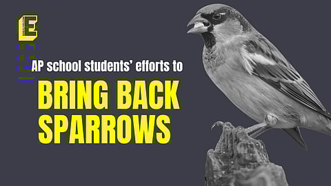 On March 20, environmental and avian enthusiasts around the world commemorated World Sparrow Day.