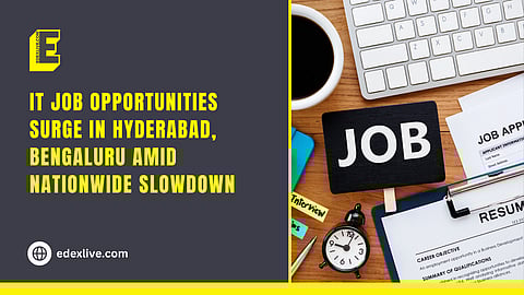 There has been a decrease in IT job opportunities nationally
