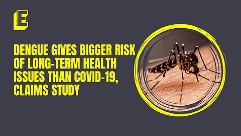 Dengue possess larger risk of long-term health issues than COVID-19: Study