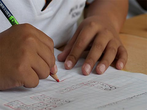 Outdated syllabus leaves students behind in digital age