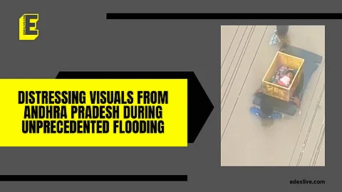 Watch video here