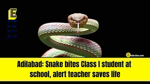 This is how the teacher saved the student's life