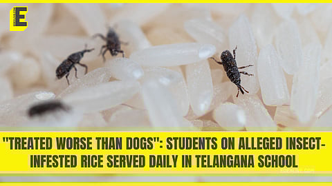 What else do students have to say?