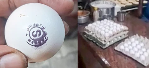 Look at the government stamps on eggs