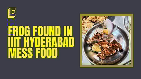 IIIT Hyderabad: Students find frog in biryani served in hostel mess