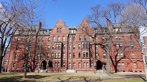 Harvard University