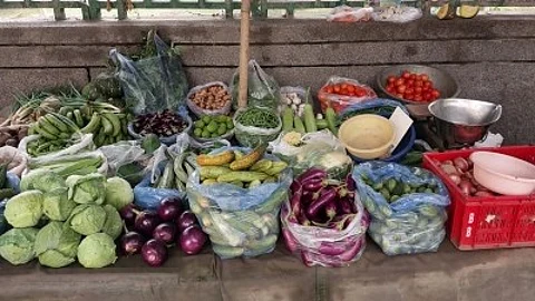 Vegetable garden