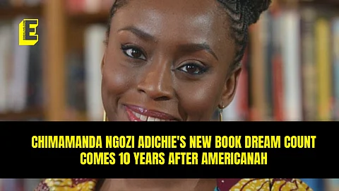 Chimamanda Ngozi Adichie's Dream Count