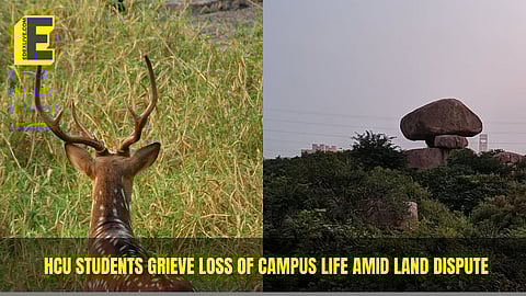 “More than just loss of trees”: HCU students reflect on losing part of campus life amid 400-acre Kancha Gachibowli row