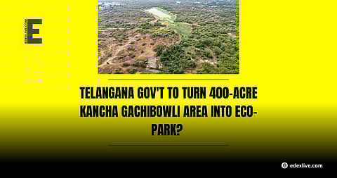 The Kancha Gachibowli site deforestation