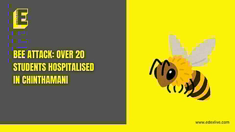 Let's take a look at what happened