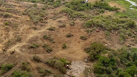 Kancha Gachibowli land must be declared forest, says SC panel in report