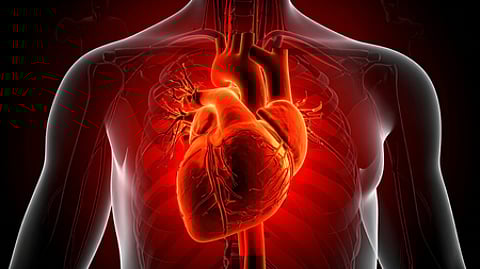 Men at higher early risk of heart disease than women: Study