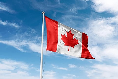 Data shows a near 50% drop in International students in Canada compared to last year