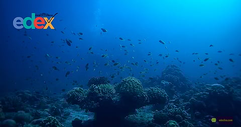 Methane seep in Antarctic seabed