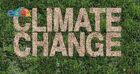 Climate litigation is on the rise in India