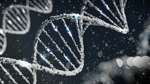 New search engine lets scientists query DNA code instantly