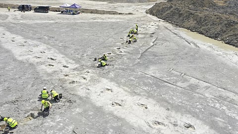 World’s longest dinosaur trackway unearthed in Oxfordshire quarry