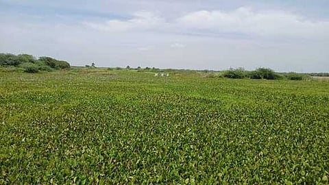 Delhi teen’s water sensor brings clean drinking water to rural India