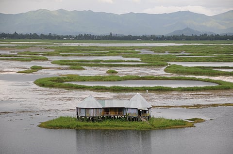 The Nagaland University study found a direct link between land use and pollution levels across rivers draining into Loktak Lake, threatening biodiversity and livelihoods