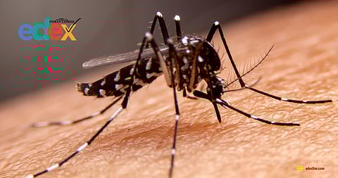 Student dies due to malaria after negligence shown in govt residential school in Rayagad, Odisha