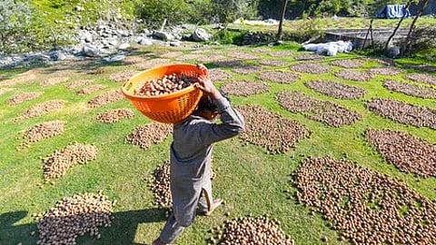 Representative image