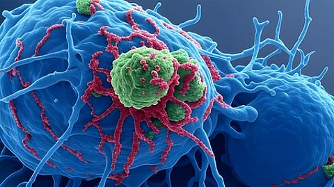 Telomeres, genes and chromosomes shape ageing and cancer