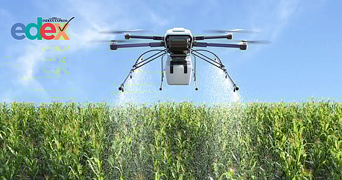 UoH seed dispersal drive