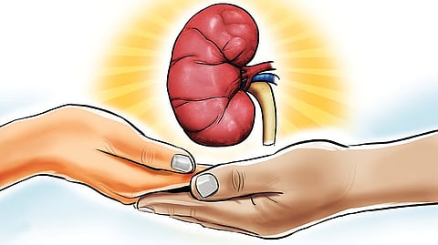 The two contributions were instrumental in pushing the tally to a record high of 21 this year.