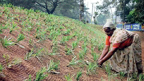 Expenditure on MGNREGA has increased 2.5 times in the last decade.