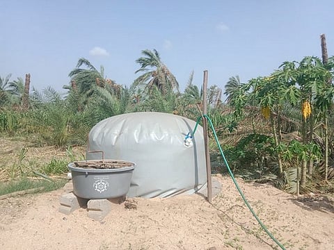 Clear policy framework, assured offtake demand to accelerate decentralised bio-CNG: Industry sources