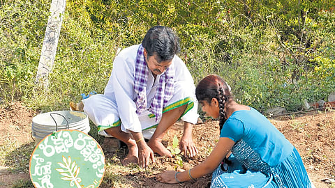 A biographical film titled Vanajeevi, now under production, seeks to take the life and philosophy of Vanajeevi Ramaiah to a wider, global audience.