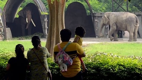 Delhi zoo to reopen tomorrow after 2-month closure due to infection
