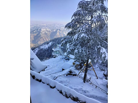 Tourists thrilled as fresh snowfall blankets Shimla; travel industry sees revival