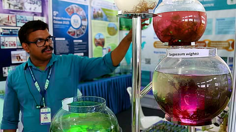 TP SOORAJ@The New Indian Express.Kochi.