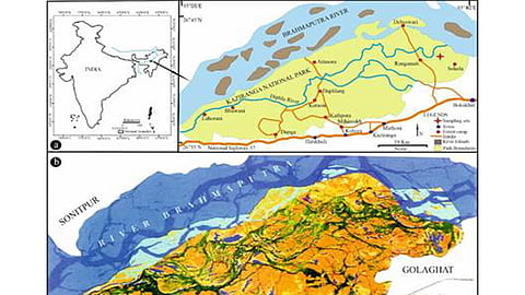 Researchers trace Kaziranga's evolution into last great home of one-horned rhino