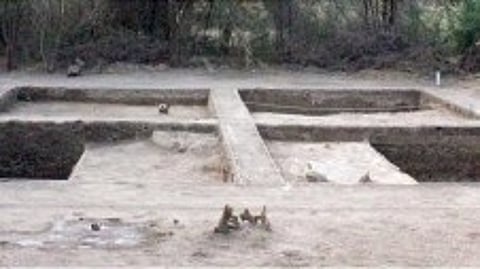 Tamil Nadu sent 45 archaeology excavation proposals for approval