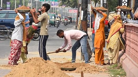 Workforce data shows stable trend in January: Gov't