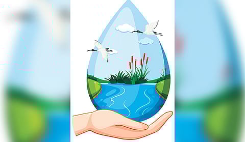 The episode is often cited as a lesson in what happens when human health is addressed in isolation from animal/bird life, and the environment.