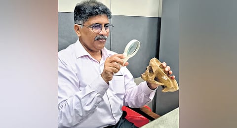 Dr S K Padmakumar