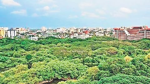 Mangalavanam bird sanctuary