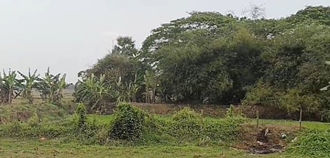 Odisha: Kushunupur selected as