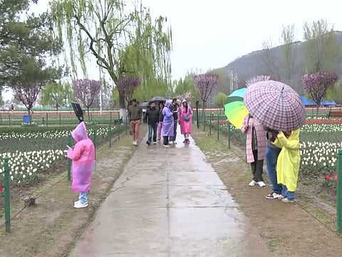 J-K: Tourists arrive in large numbers to witness breathtaking beauty of Srinagar's Tulip Garden