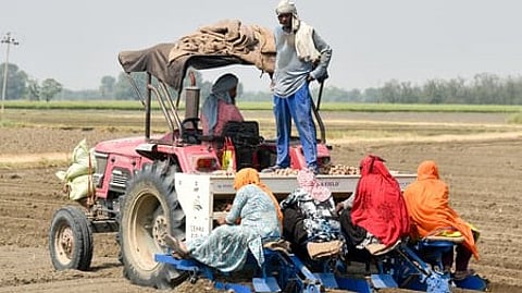 Labour participation stable, urban female unemployment falling: Gov't