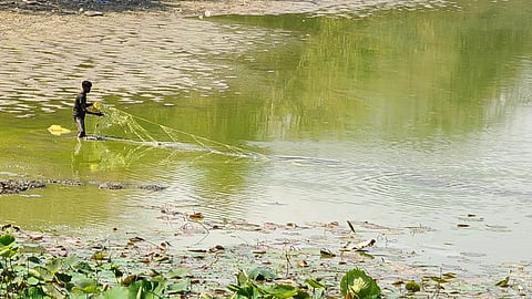 Treated water to fill eight lakes in Bengaluru South Corporation