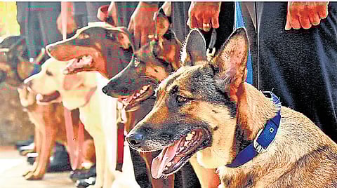 Representational image