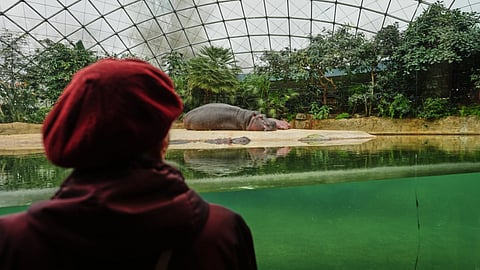 Dementia-friendly tour at Berlin Zoo spreads joy to patients