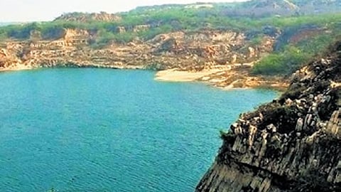 Asola Sanctuary gets conservation boost plan