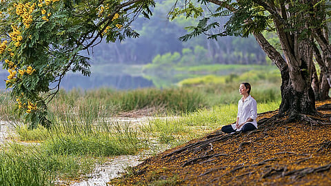 Nature’s wisdom: the five elements as guides to inner harmony