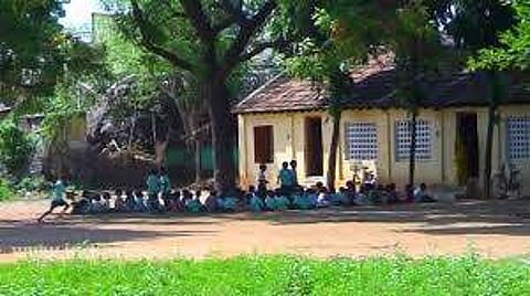 Students themselves found a snake which was in the bushes around the lavatory
